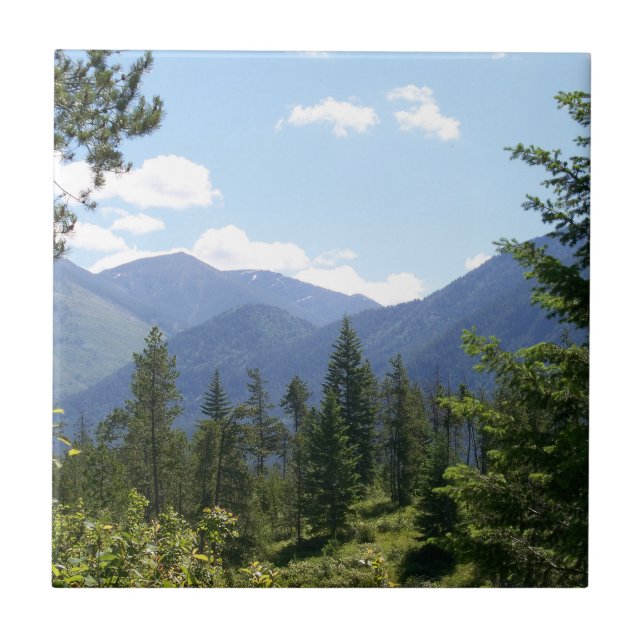 Montana Forest and Mountains Scenic View (Frente)