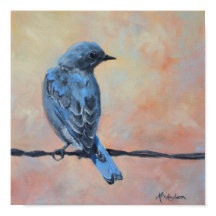 Montanha Bluebird Fine Art Impressão