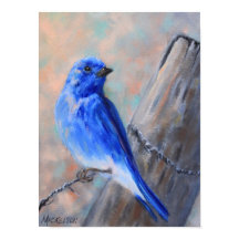 Montanha Bluebird Fine Art Poster
