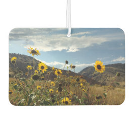 Montanha Girassóis Linda Foto ao ar livre