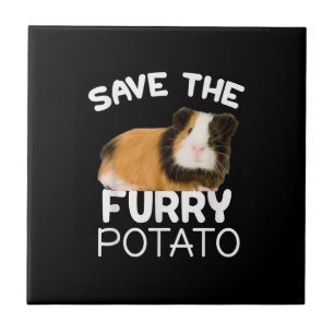 Montanha Guiné-Porco - Salvar Batata Furtiva