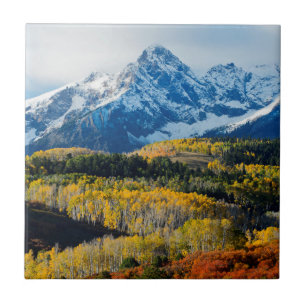 Montanha nevado & árvores
