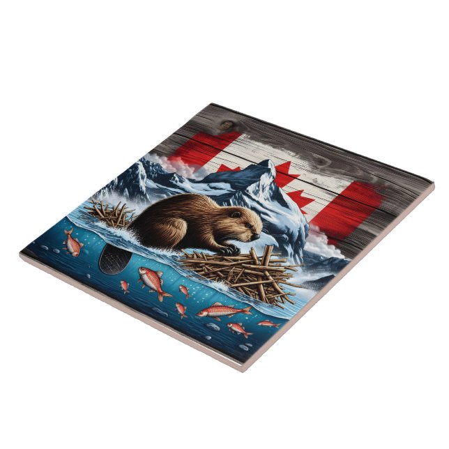 Montanha Snowy, Oceano, castor canadiano (Lateral)