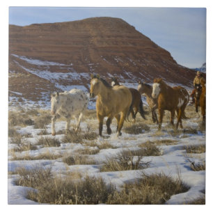 Montanhas Big Horn, Cavalos Correndo Na Neve