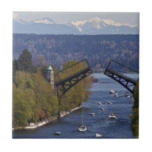 Montanhas da ponte e da cascata de Montlake