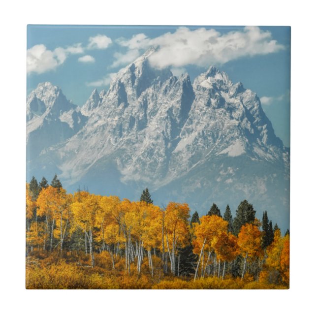 Montanhas grandes de Teton na queda (Frente)