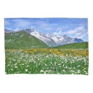 Montanhas Primavera do Vale dos Alpes suíços