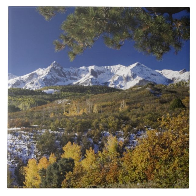 Montanhas San Juan e árvores Aspen em cores (Frente)