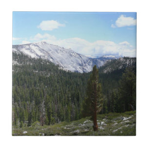 Montanhas Sierra Nevada II vistas de Yosemite