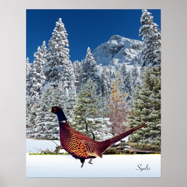 Montanhas Snowy com Poster Pheasant Semi Gloss (Frente)