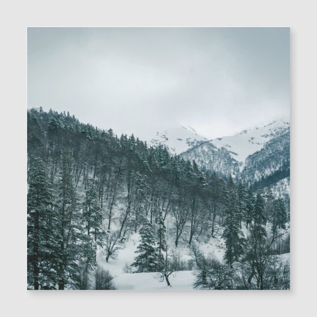 Montanhas Snowy na Geórgia (Frente)