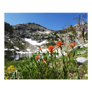Montanhas, Wildflowers, impressão 20" da foto do