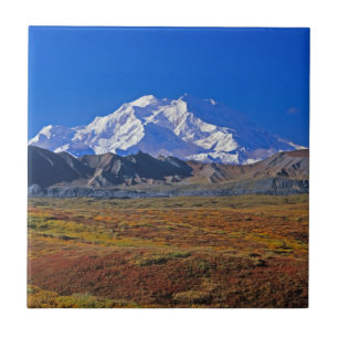 Monte. Parque Nacional McKinley Denali, Alasca