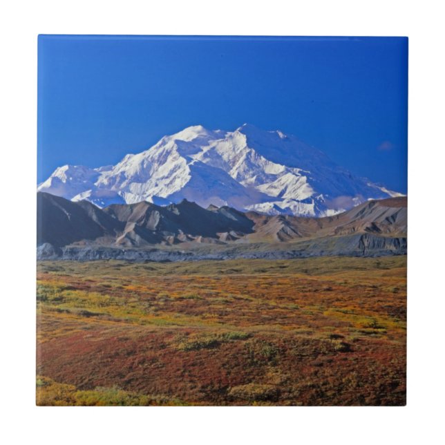 Monte. Parque Nacional McKinley Denali, Alasca (Frente)
