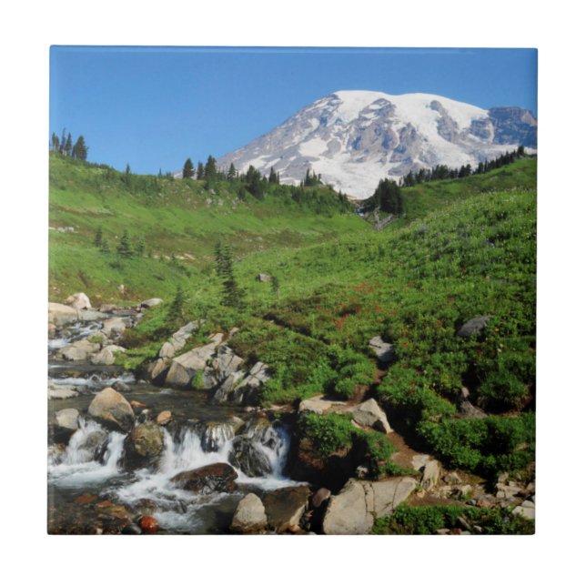 Monte Rainier, cachoeira, coberto de neve (Frente)
