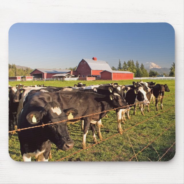 Monte Rainier Cattle Mousepad (Frente)