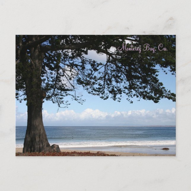 Monterey Bay, Ca. Cartão postal (Frente)
