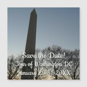 Monumento a Washington na Paisagem de Inverno II