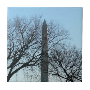 Monumento a Washington na paisagem do inverno I
