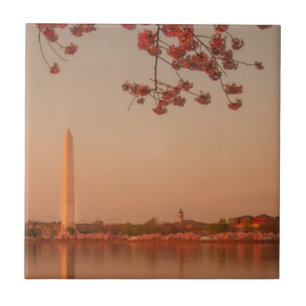 Monumento de Washington Sakura no por do sol
