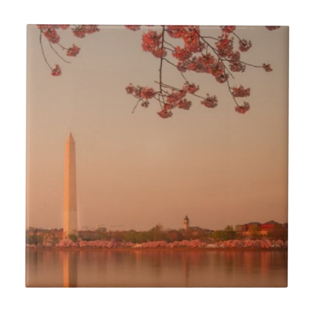 Monumento de Washington Sakura no por do sol (Frente)