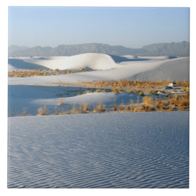 Monumento Nacional White Sands, Dunas Transversais (Frente)