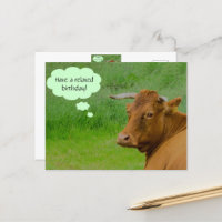 Moo! Uma vaca bonita quer um cartão postal de aniv