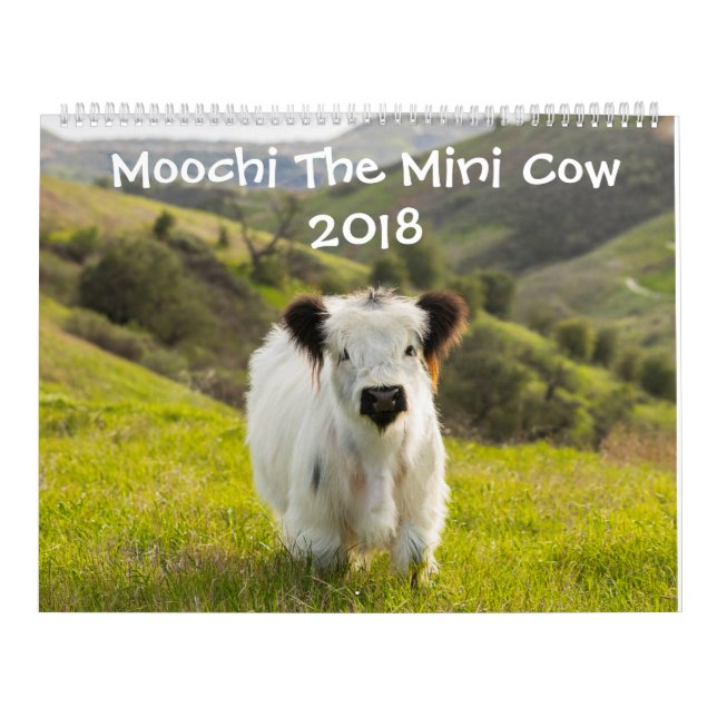 Moochi o mini calendário da vaca 2018 (Capa)