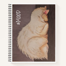 #MOOD espiral notebook
