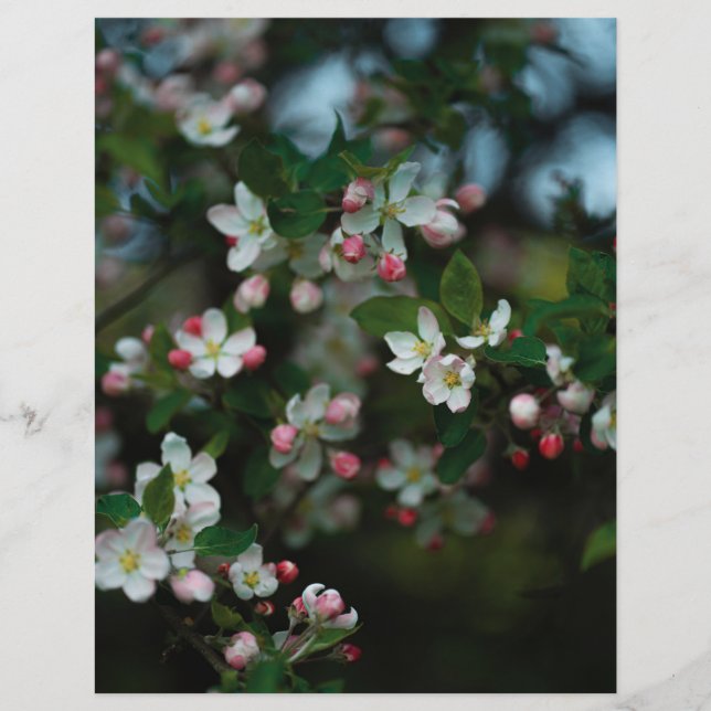 Moody apple tree blooms Scrapbook Paper (light) (Frente)