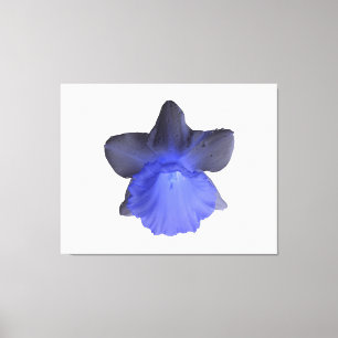 Moody Blue Drill Daffodil Canvas Print