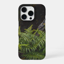 Moody green nature theme with ferns