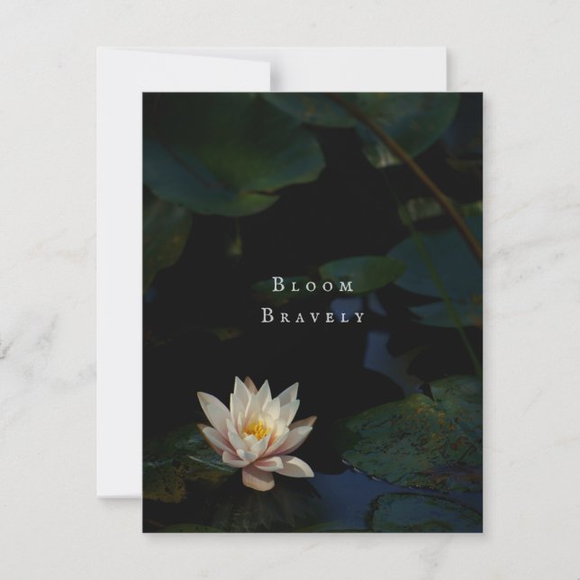 Moody Lily Pad Pond Nature Greeting Card (Frente)