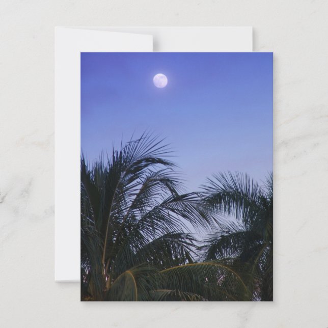 Moon Completo Sobe (Frente)