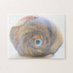 Moon Snail Shell Quebra-cabeça
