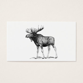 Moose