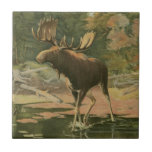 Moose Caminhando na Água<br><div class="desc">Você mora longe da natureza? Essa bela e,  no entanto,  clássica dá uma impressão de paz e as cores do alce que caminha na água são precisas,  o que torna essa imagem muito realista. Obtenha esta arte estilizada da natureza em seus produtos favoritos!</div>