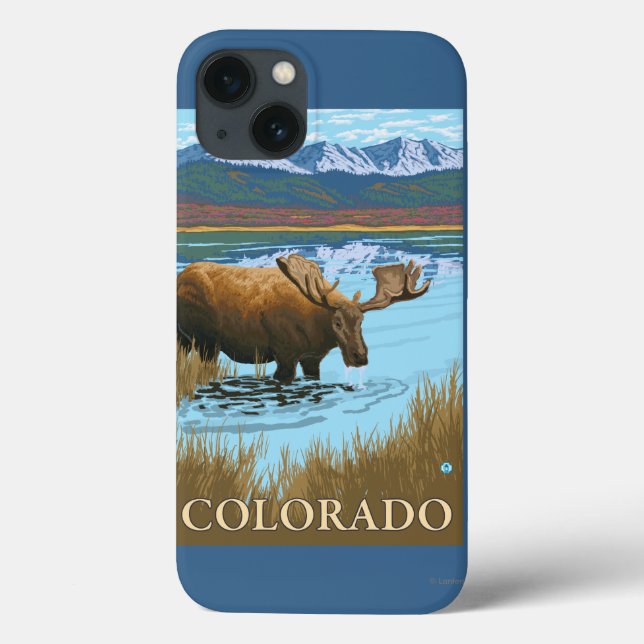 Moose DrinkingColorado (Verso)
