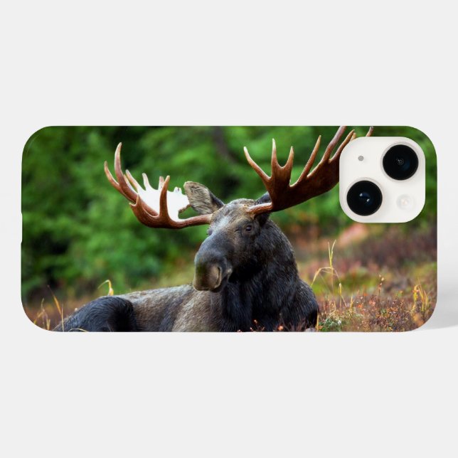 Moose iPhone 14 Case (Verso (horizontal))