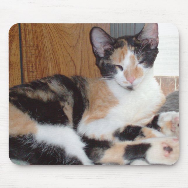 Moow Cats 39 Mousepad (Frente)