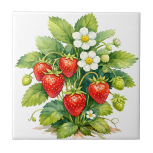 Morangos em aquarela e flor de baga