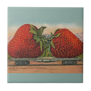 Morangos Giant Antiguidade Diversão da Fruta