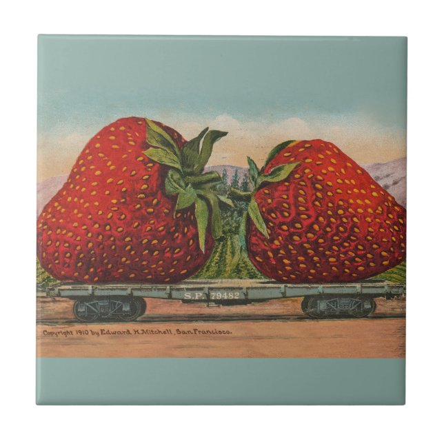Morangos Giant Antiguidade Diversão da Fruta (Frente)