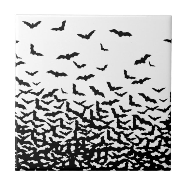 Morcegos! Morcegos! (Frente)