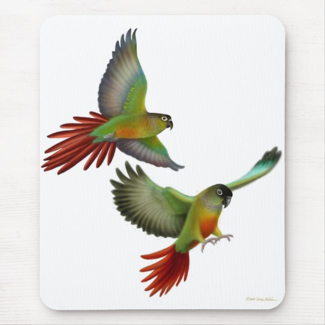 Mordente verde Conures Mousepad (Frente)
