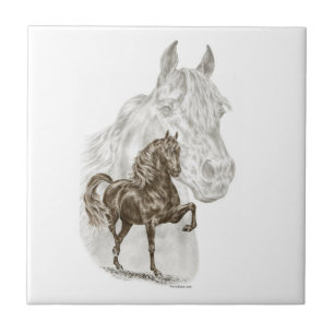 Morgan Horse Art
