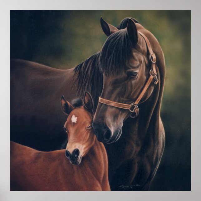 Morgan Mare e Foal por Lynn Peterson Poster (Frente)