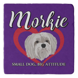 Morkie - Cachorro Pequeno, Grande Atitude - 3