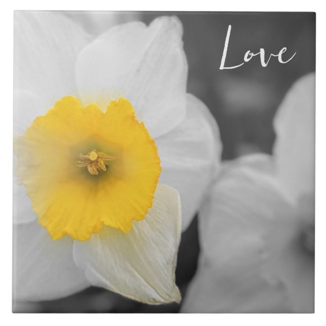 Morning Flower in Love (Frente)