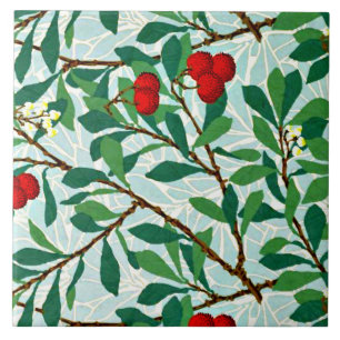 Morris - Arbatus, vermelho de baga, padrão famoso